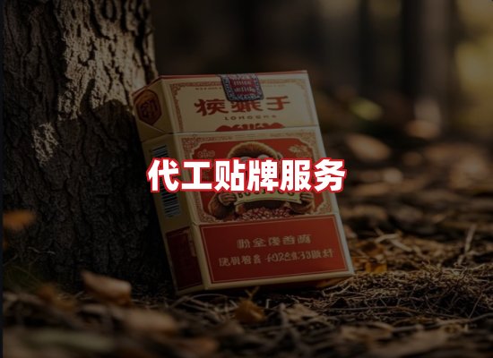 专业团队